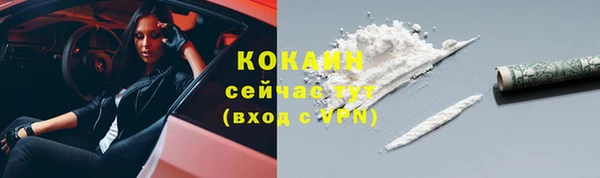 твердый Лиски