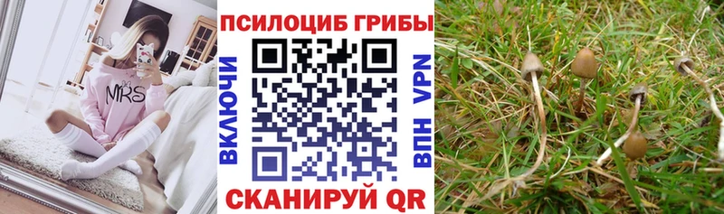 закладки  Пыталово  Галлюциногенные грибы GOLDEN TEACHER 