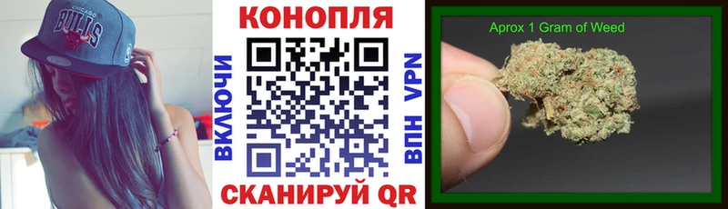 Бошки марихуана SATIVA & INDICA  Пыталово 