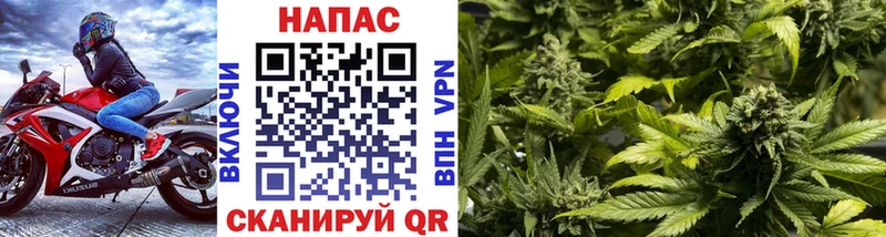 Конопля планчик Пыталово